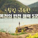 오묘힐링 이미지