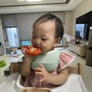 한겨레초록마을친환경유기농식품매장 | 유기농과 무농약 뭐가 더 이유식 재료에 좋을까? 초록마을 VS 한살림비교까지 #찐구매자후기