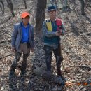 동산동-06 이미지