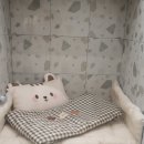 화정호텔