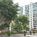 무궁화태영 이미지