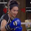 복싱임팩트 이미지