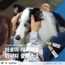 더힐테라피센터 이미지