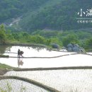 법인선농 | [절기문화원] 소만(小滿) - 24절기와 선교문화
