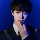 섬섬옥수