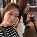 하바나익스프레스