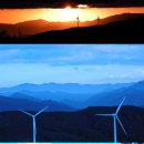 열린목장 이미지