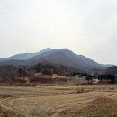 상월목장 네이버블로그
