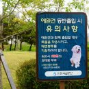 백조호수공원 이미지