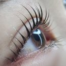 현신6길 이미지