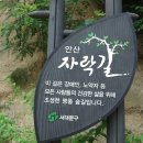 청룡중대 안산 자락(自樂)길 힐링산책(17.3.16) 이미지