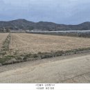 오수동농장 네이버블로그