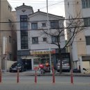 올리브스파피 이미지