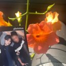 군산영광여고 향상음악회 | 6월