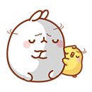 한라상사 이미지