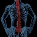 예스마취통증의학과의원 이미지