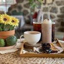 너와제주 이미지