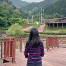 목재문화체험장 화장실 이미지