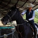 구일농장2 이미지