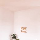 플랜테리어 이미지