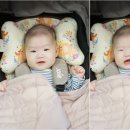 에끌레브(ecleve)