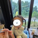 안성식당 - 합천군 | [경기도 안성] 아기와 가볼만한 식당, 경기도 안성 맛집, 만미담 식당 방문 후기