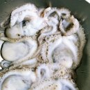 꼬돈 | 알쭈꾸미 샤브샤브 먹어봤어요? 알쭈꾸미 손질하다 알 버릴 뻔한 솔직 후기