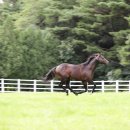 치열목장 이미지