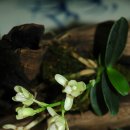 서해공업사 이미지