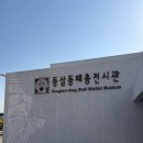 부산 동삼동 패총 | 블랙야크 역사문화대장정 인증 부산 영도 코스 추천👍