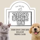 에르펫츠 강아지분양 고양이분양 다산점 이미지