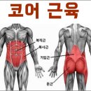 한국자연치유협동조합 Daum카페
