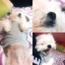 개편한세상 이미지