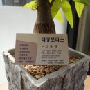 대광모터스 이미지