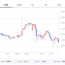 한국바이오케미칼충남지점 | 동남합성 기업 분석(개요 및 사업모델 분석)