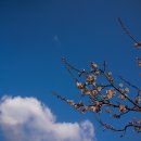 곡성(순천) 이미지