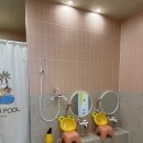 폴앤풀-양산