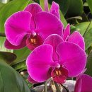 창호농장 이미지