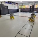 MTA 관동태권도장 이미지