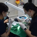 서울경희치과의원 이미지