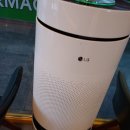 하이베라스 이미지