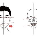 넘버원척추골반교정센터 이미지