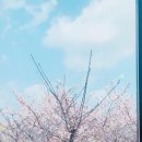 단지커피 이미지