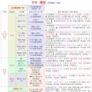 TV 계보 (2026년 Ver) 이미지