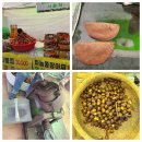 청화웰니스 | 정읍 구절초 축제 기간 입장료,기차 10월 여행지 가을 꽃 여행 가을 여행지 추천