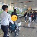 729 | 아시아나 교통약자 서비스(OZ729) 이용후기