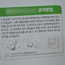 헬로동물병원 이미지