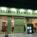 클로리스 플라워(CHLORIS FLOWER)