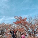 더원 치과기공소 이미지