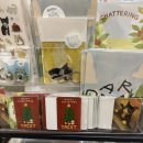 복우물 부대 & 김치찌개 전문 | 소재가 없어서 2주치로 낋여옴...😗 : 11월 4주차 ~ 12월 1주차